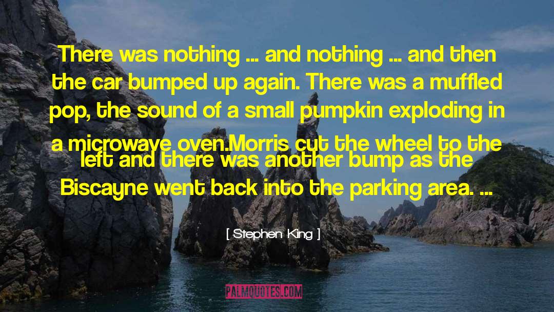 Zaiser Pumpkin quotes by Stephen King