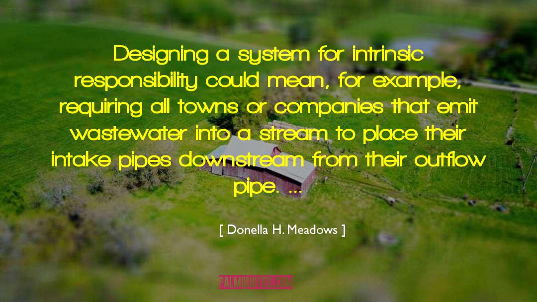 Zandvliet Wastewater quotes by Donella H. Meadows