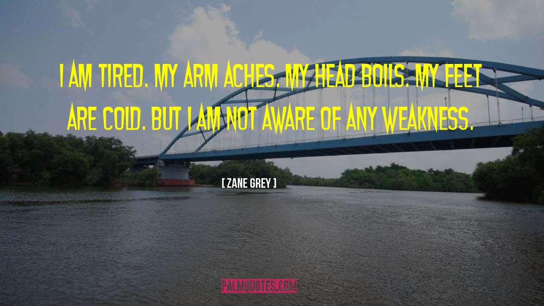 Zane Carlisle quotes by Zane Grey