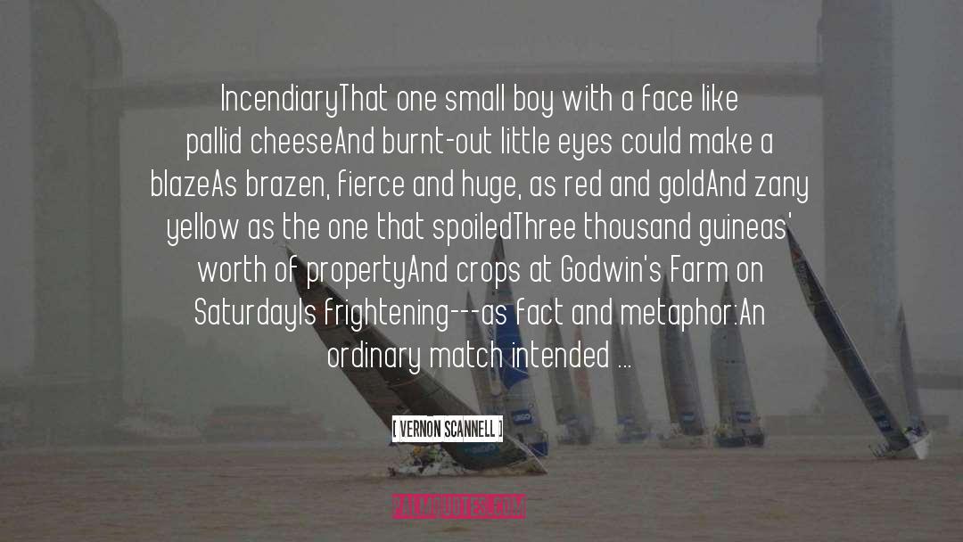 Zayns Farm quotes by Vernon Scannell