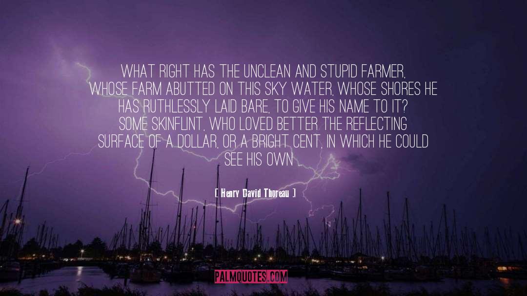 Zayns Farm quotes by Henry David Thoreau