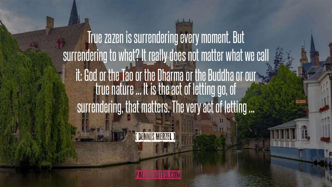 Zazen quotes by Dennis Merzel