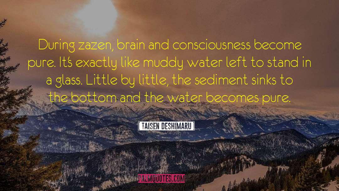 Zazen quotes by Taisen Deshimaru