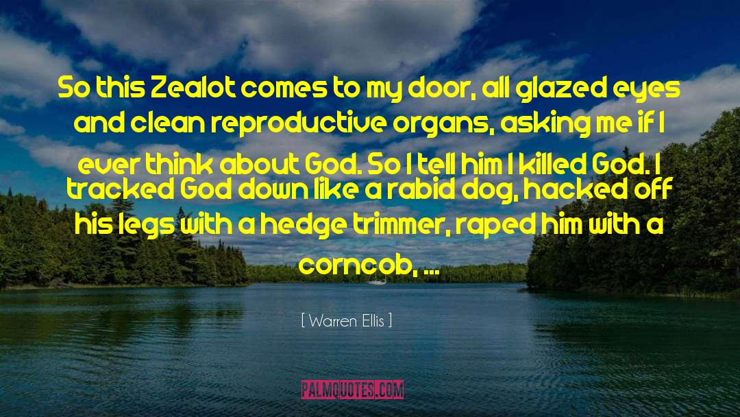 Zealot quotes by Warren Ellis