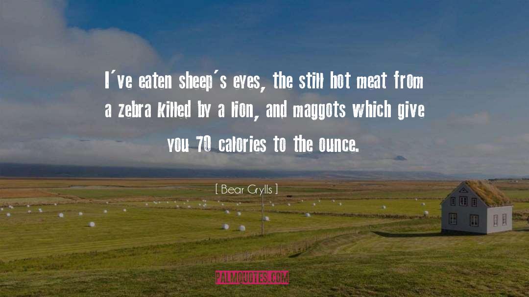 Zebra quotes by Bear Grylls