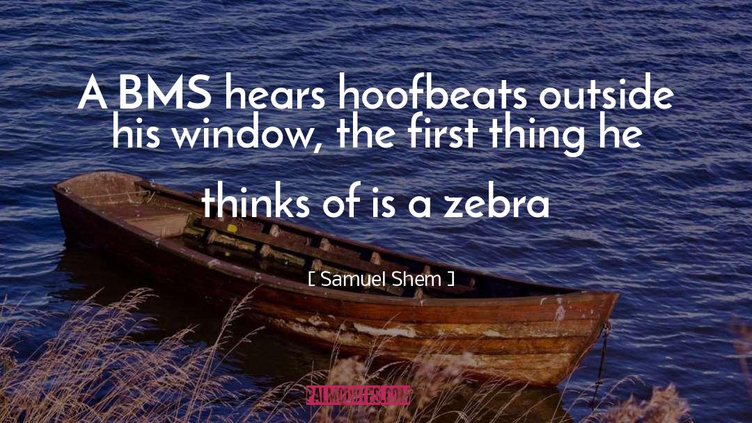 Zebra quotes by Samuel Shem