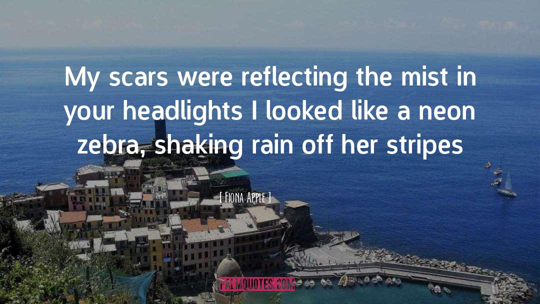 Zebra quotes by Fiona Apple