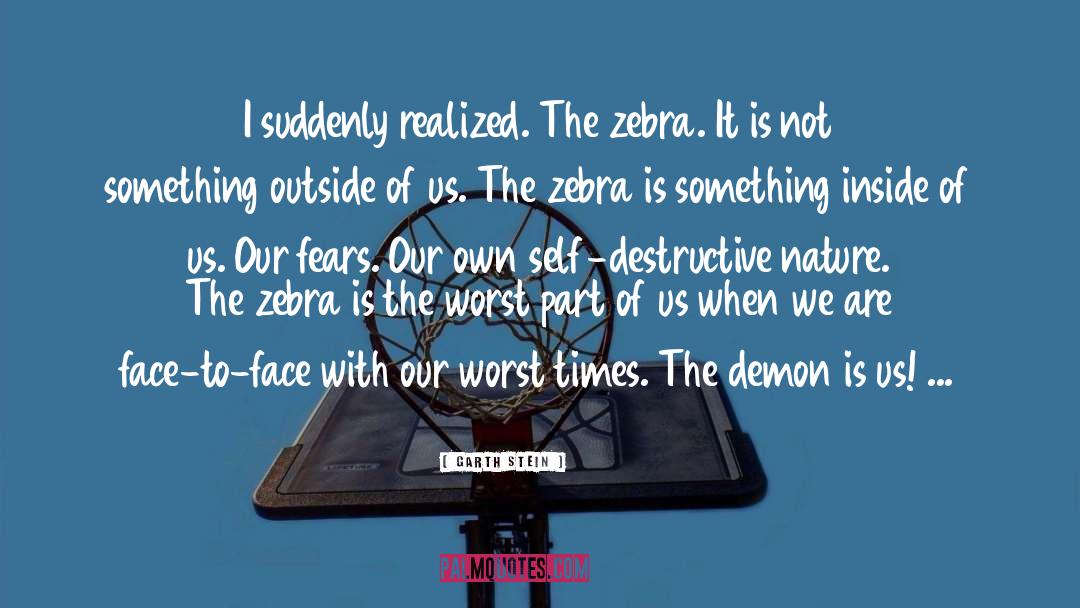Zebra quotes by Garth Stein