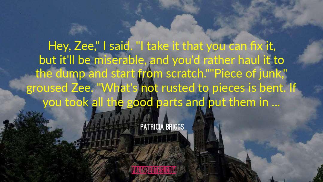 Zee quotes by Patricia Briggs