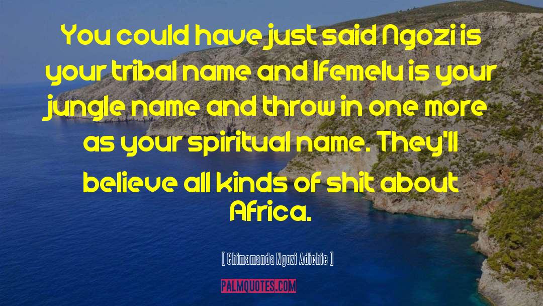 Zekaj Last Name quotes by Chimamanda Ngozi Adichie