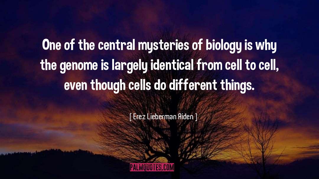 Zeledon Cell quotes by Erez Lieberman Aiden