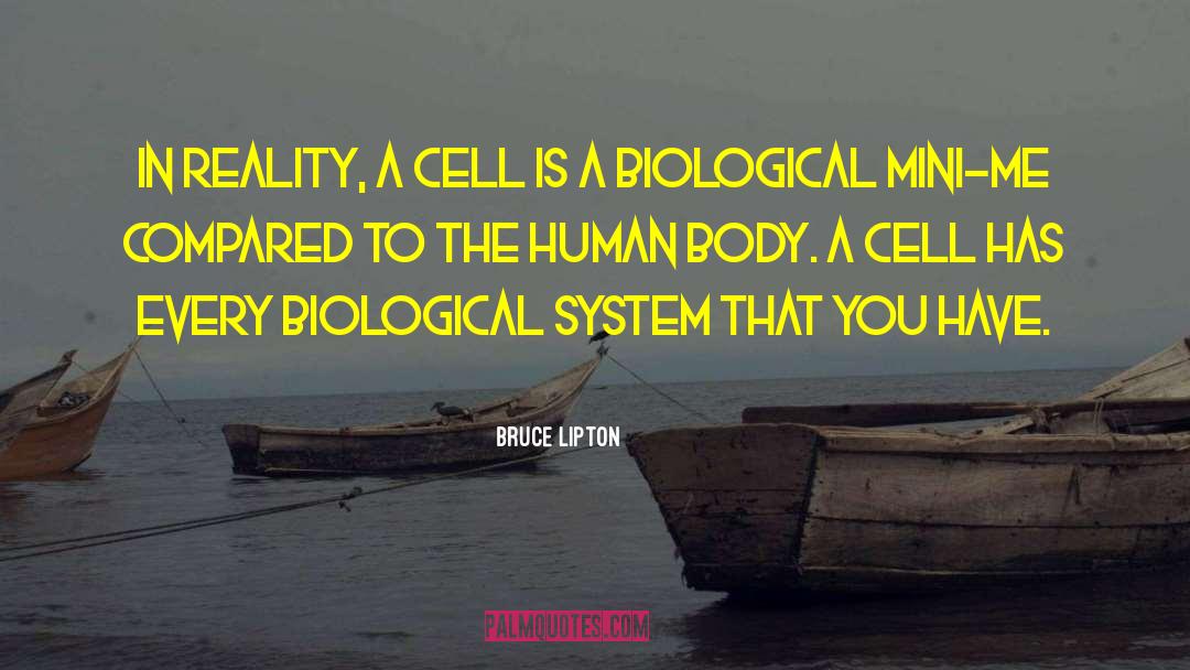 Zeledon Cell quotes by Bruce Lipton