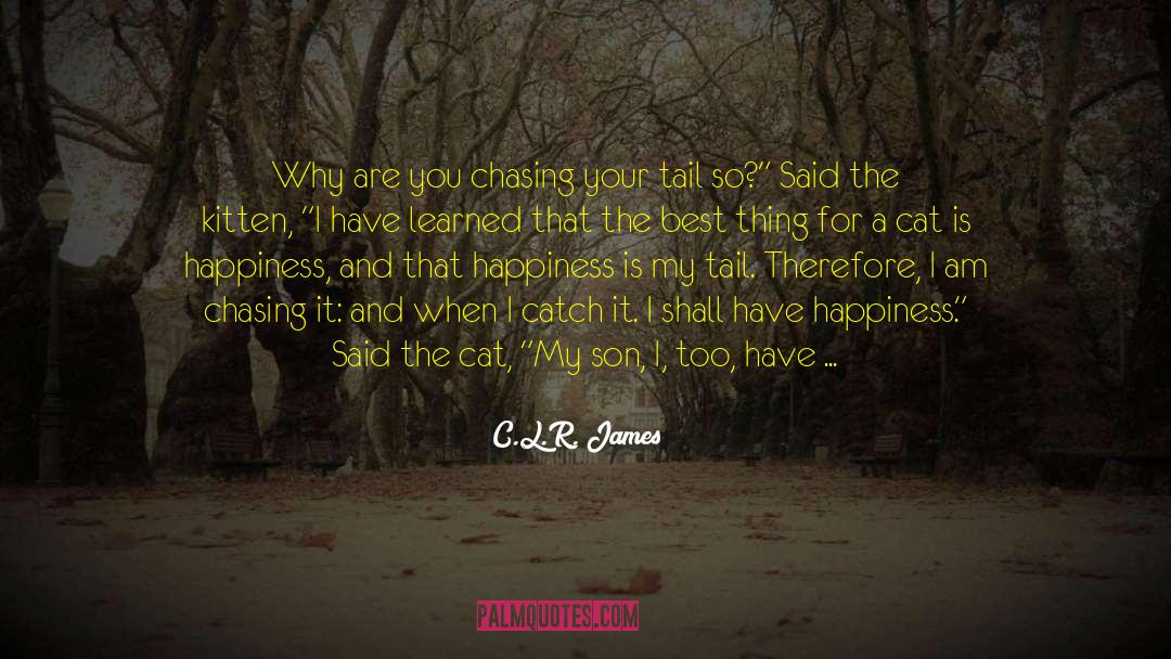 Zen And The Art Of Happiness quotes by C.L.R. James