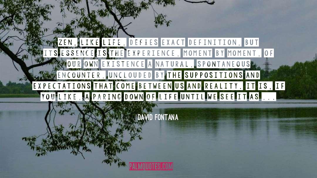 Zen Like quotes by David Fontana