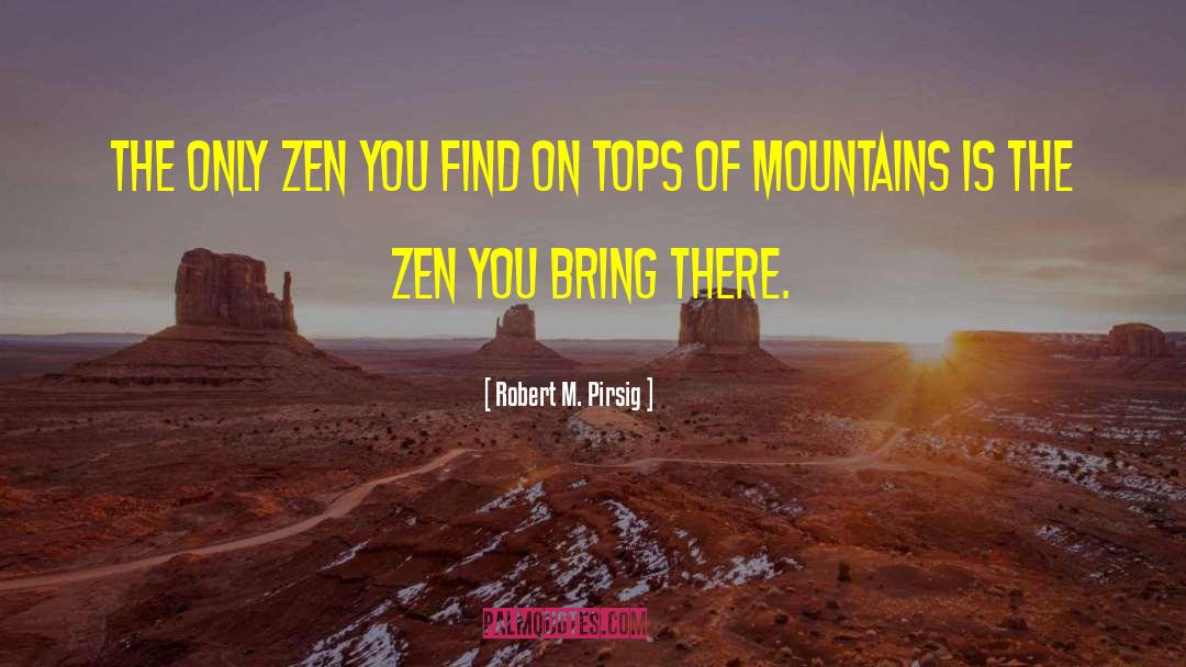 Zen Master quotes by Robert M. Pirsig