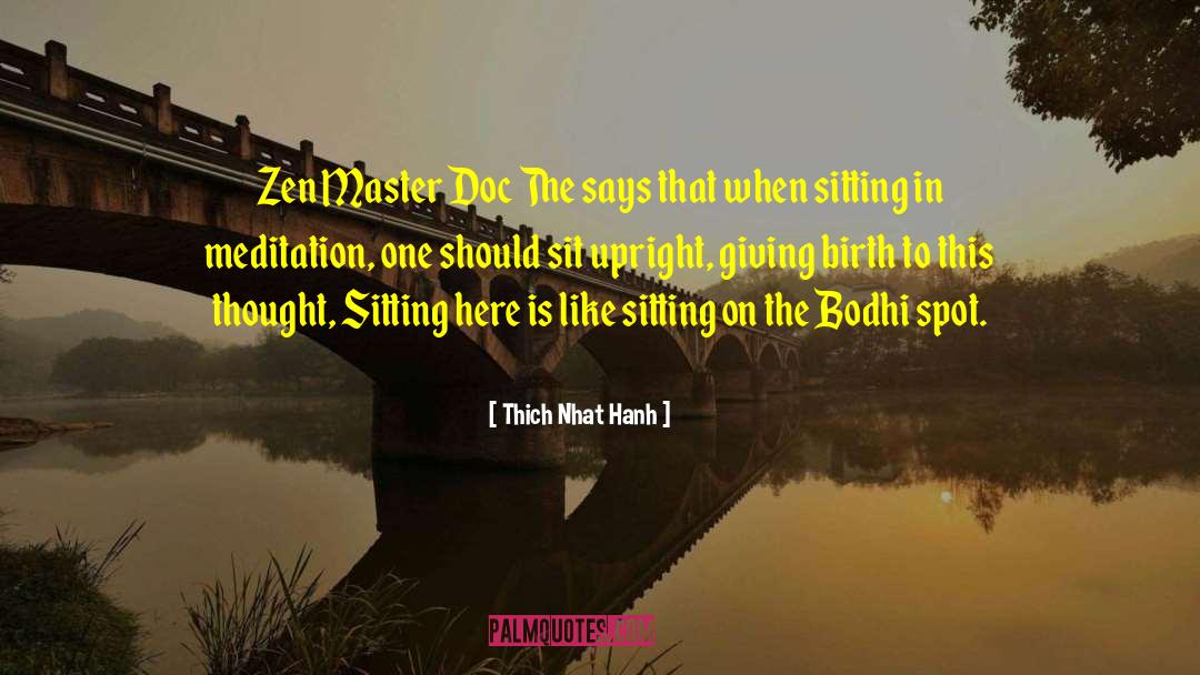 Zen Master quotes by Thich Nhat Hanh
