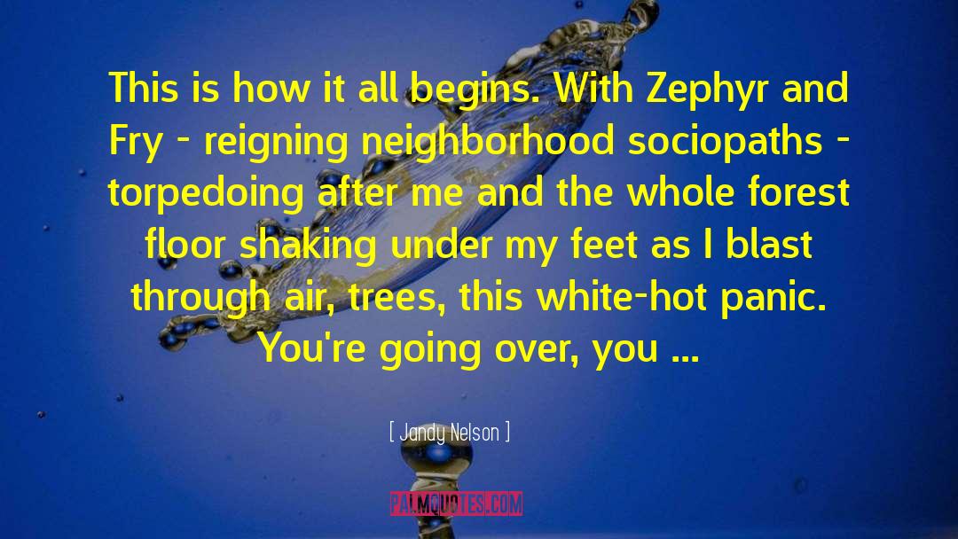 Zephyr quotes by Jandy Nelson