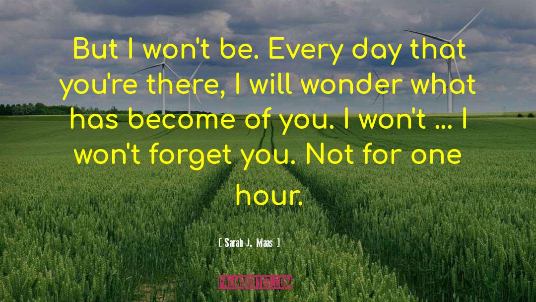 Zero Hour quotes by Sarah J. Maas