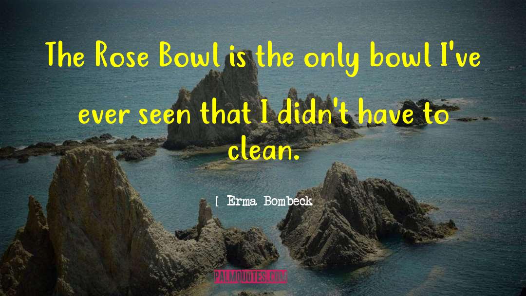 Zestfully Clean quotes by Erma Bombeck
