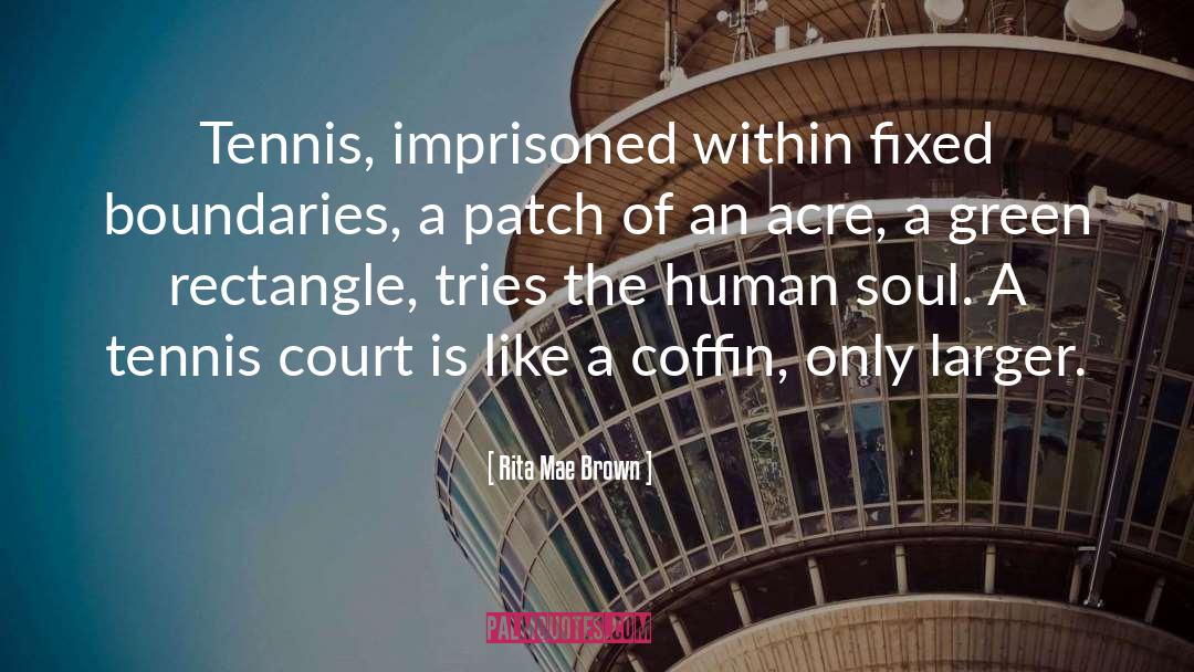 Zhulin Tennis quotes by Rita Mae Brown