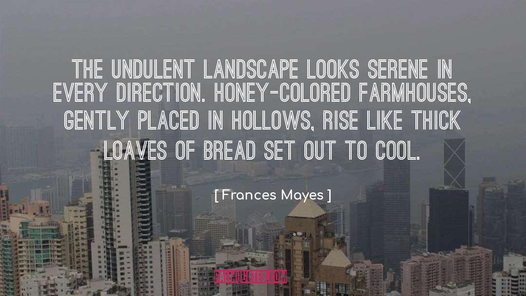 Ziesemer Landscape quotes by Frances Mayes