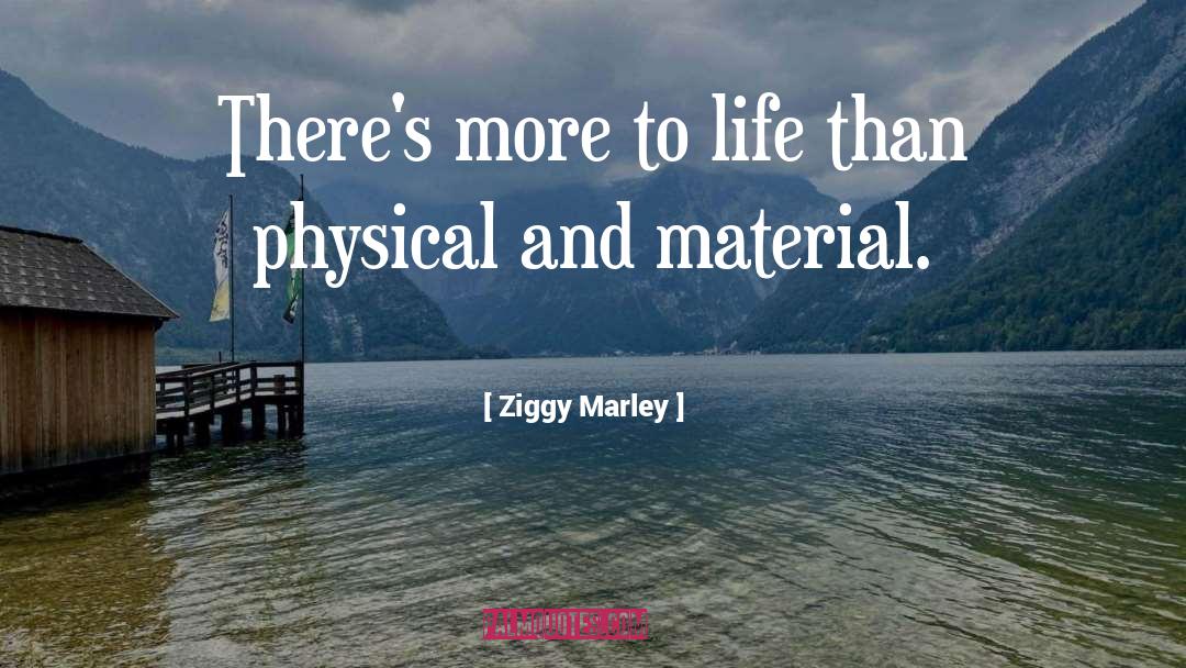 Ziggy quotes by Ziggy Marley