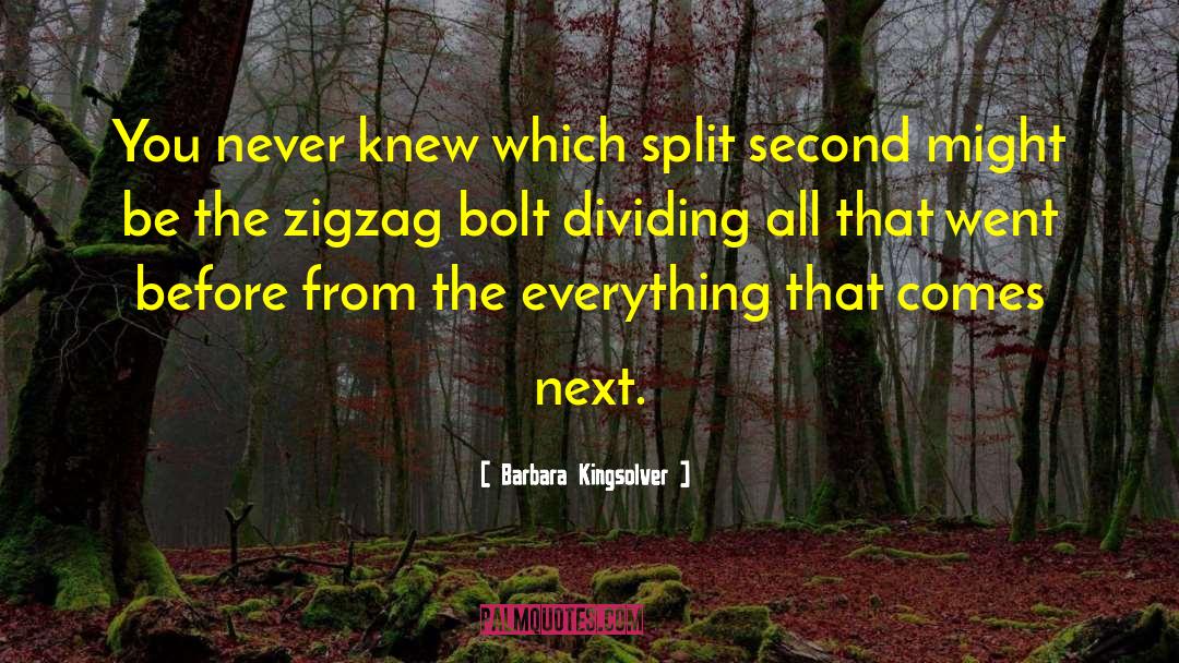 Zigzag quotes by Barbara Kingsolver
