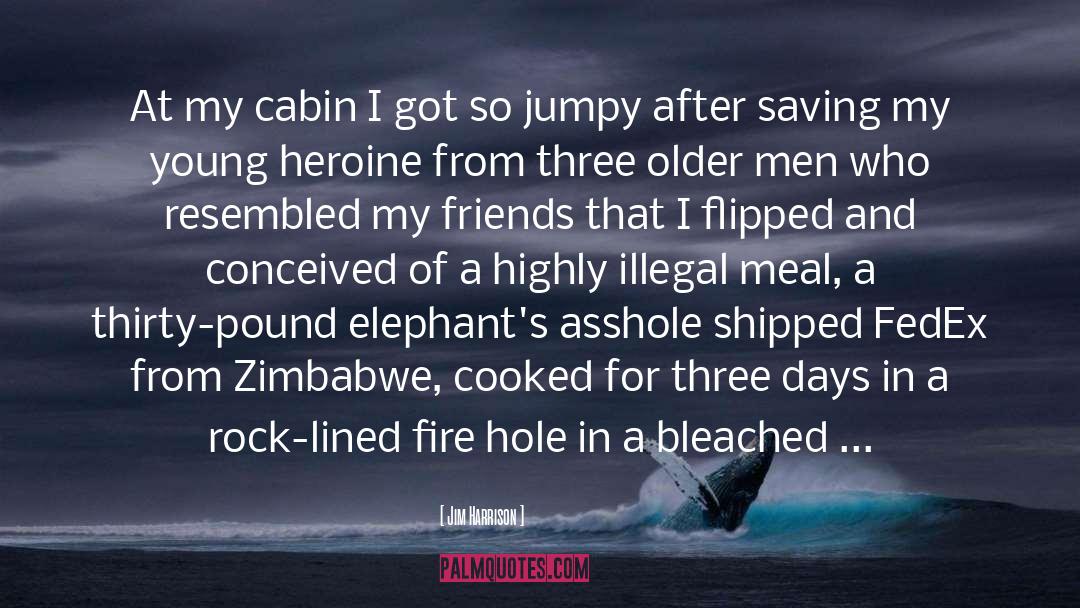 Zimbabwe quotes by Jim Harrison