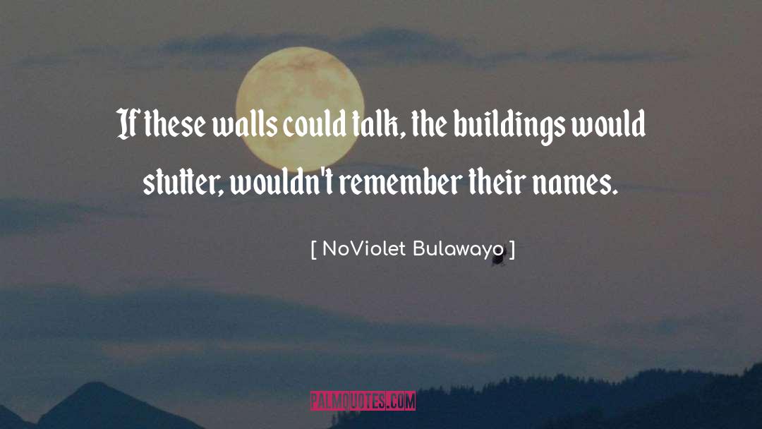 Zimbabwe quotes by NoViolet Bulawayo