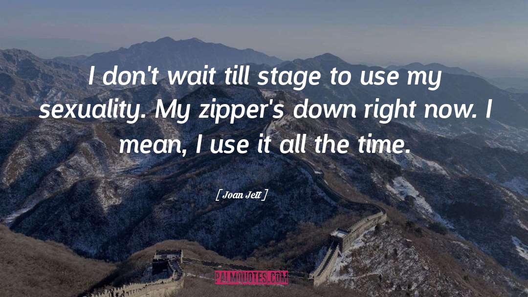 Zippers quotes by Joan Jett