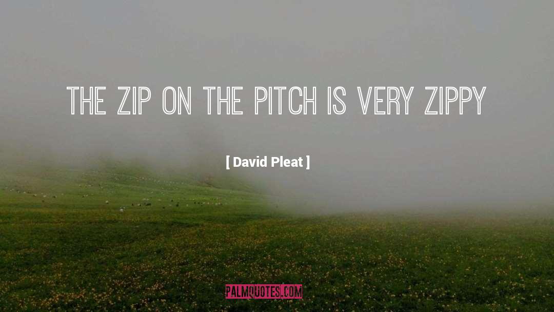 Zippy quotes by David Pleat
