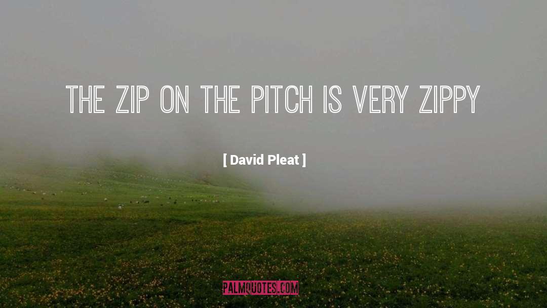 Zips quotes by David Pleat