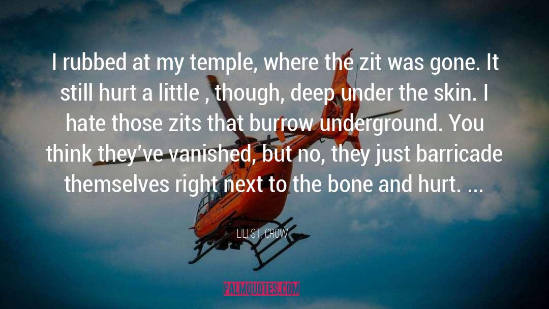 Zits quotes by Lili St. Crow