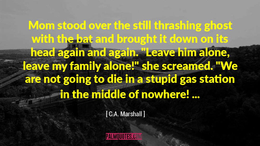 Zombies Apocalypse quotes by C.A. Marshall