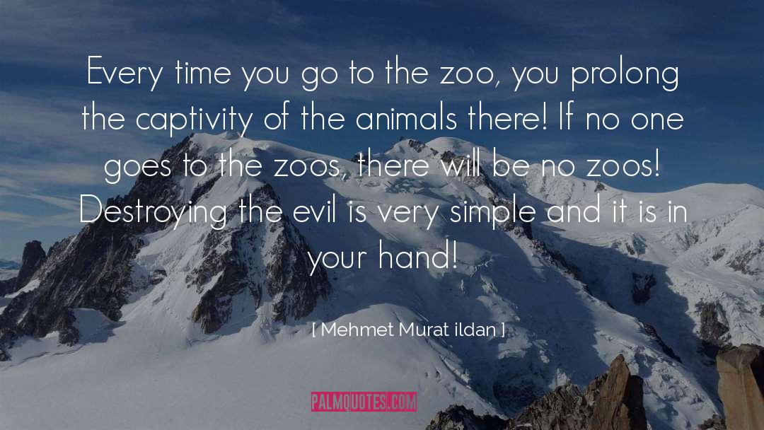 Zoos quotes by Mehmet Murat Ildan