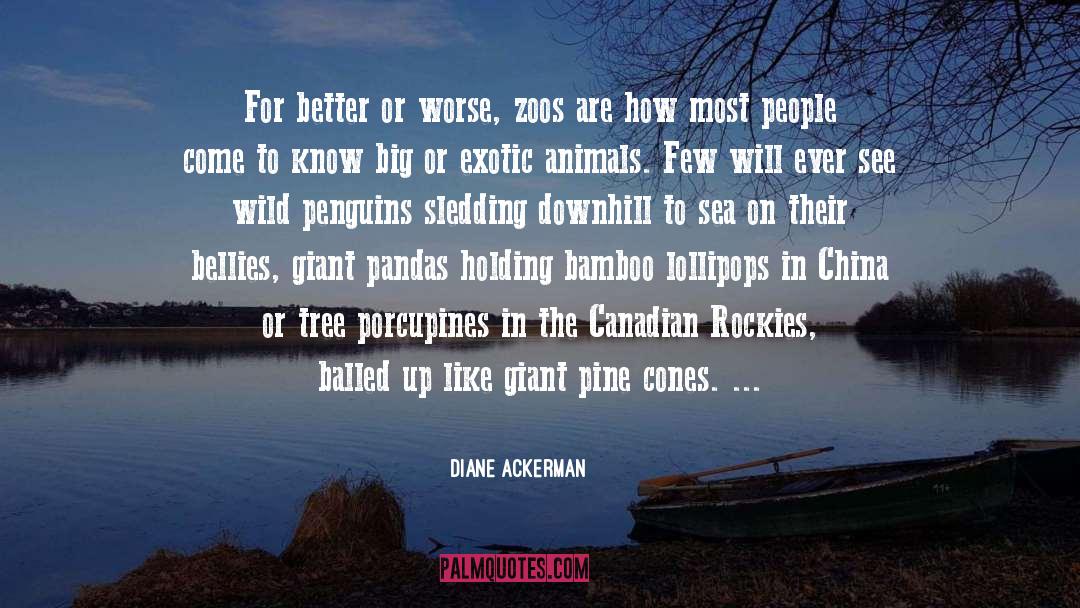 Zoos quotes by Diane Ackerman