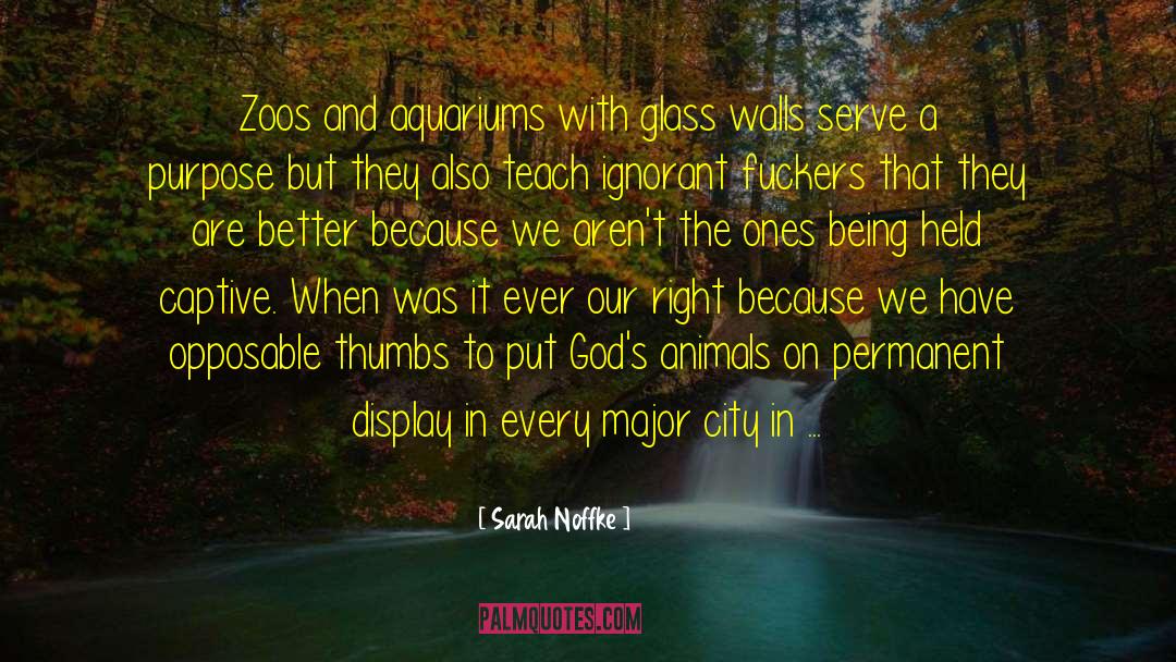 Zoos quotes by Sarah Noffke