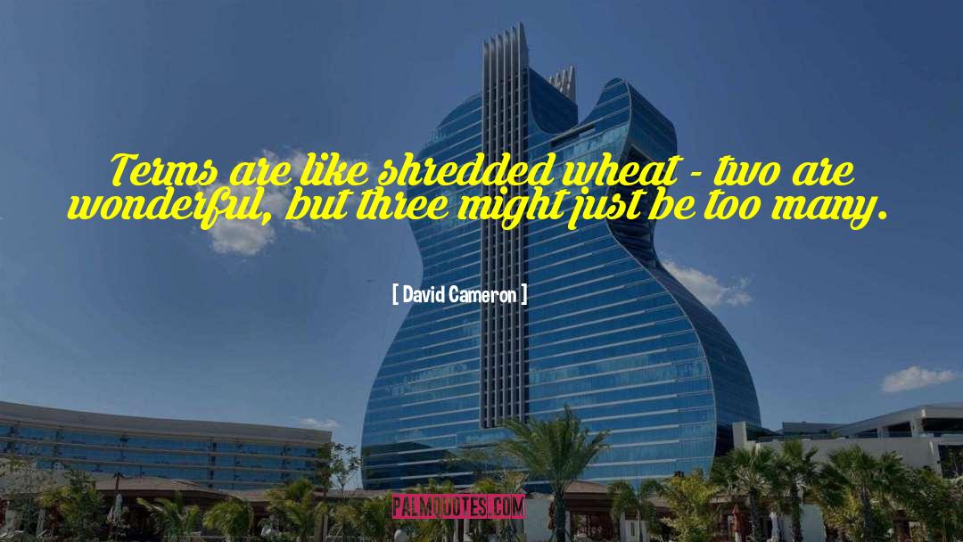 Zyzz Shredded quotes by David Cameron